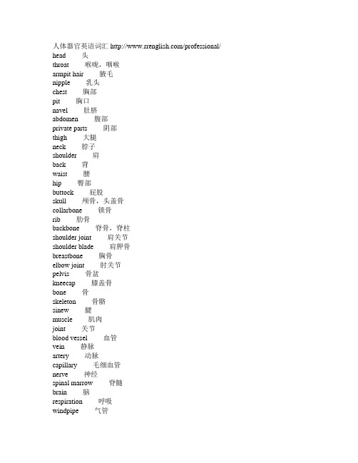 人体器官英语词汇