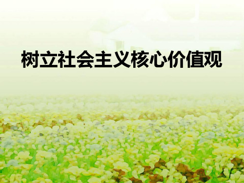 《树立社会主义核心价值观》ppt演示课件