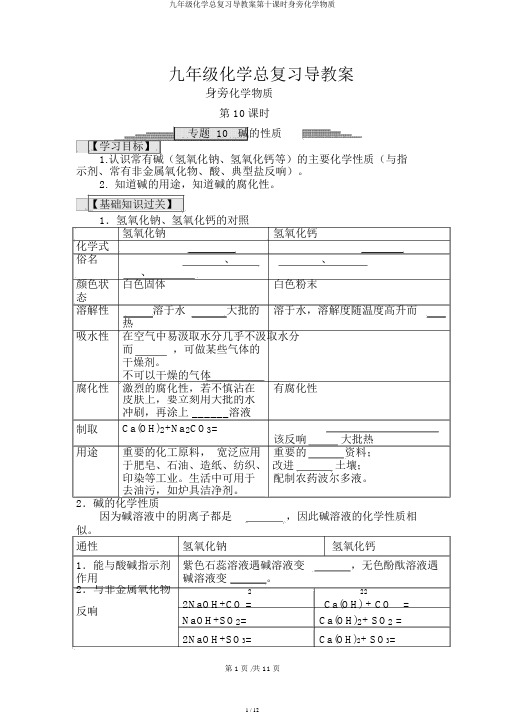 九年级化学总复习导学案第十课时身边化学物质