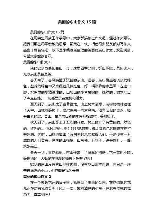 美丽的东山作文15篇