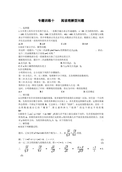 中考总复习数学专题优化训练： 阅读理解型问题