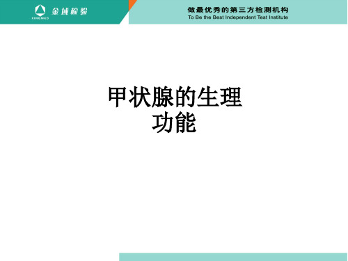 甲状腺的生理功能ppt课件