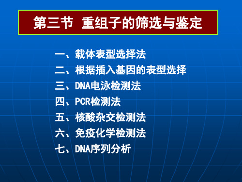 第六章 重组子的筛选与鉴定