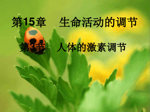 苏科版八年级上册第3节人体的激素调节