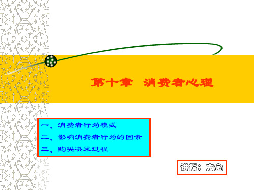 消费者心理行为模式.pptx