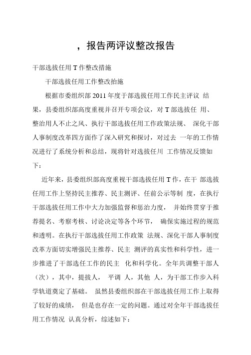 一报告两评议整改报告.docx