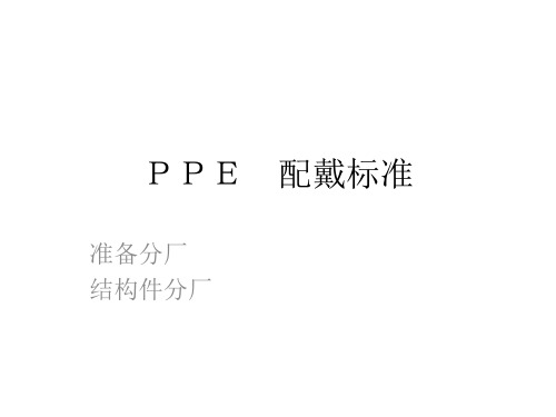 PPE 配戴标准 