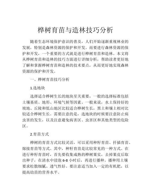 桦树育苗与造林技巧分析