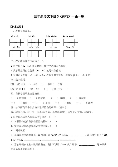 三(下)语文一课一练-3 荷花