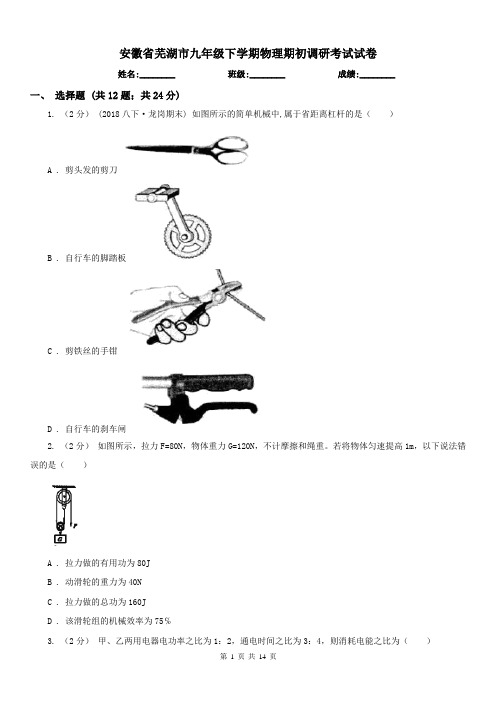 安徽省芜湖市九年级下学期物理期初调研考试试卷