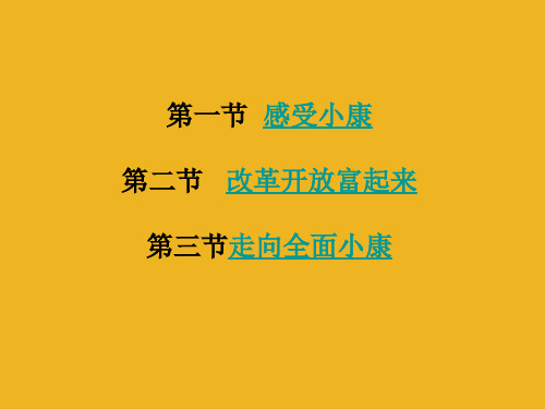 思想品德:第三单元《走进小康时代》复习课件-(湘师版八年级下)(2019年12月整理)