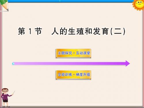 八年级生物上册 第十九章 第一节 人的生殖和发育(二)课件 北师大版