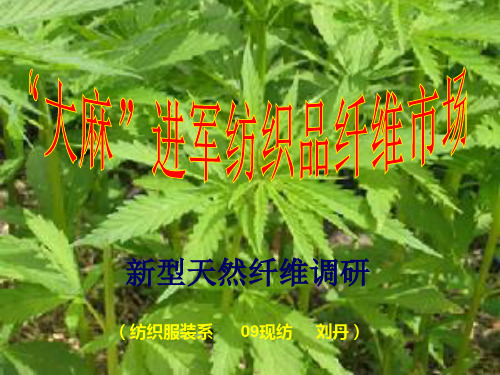 大麻纤维