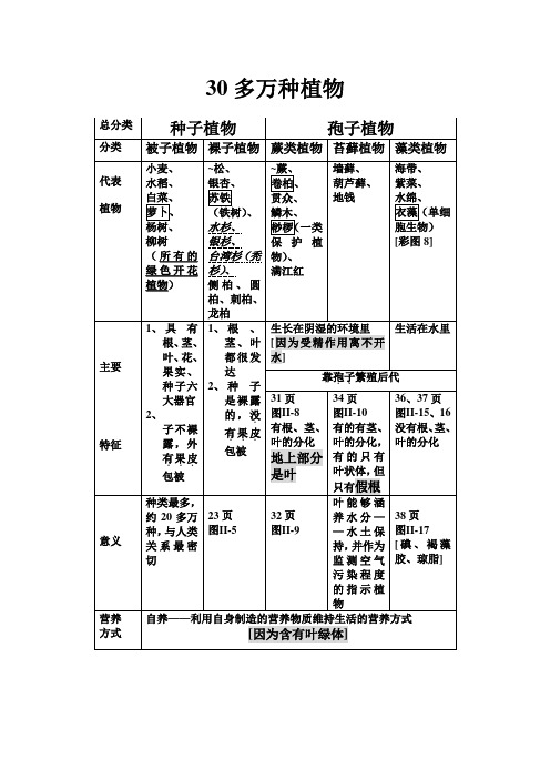 植物分类