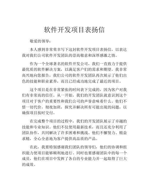 软件开发项目表扬信