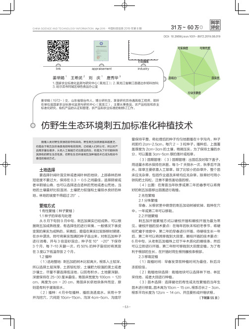 仿野生生态环境刺五加标准化种植技术