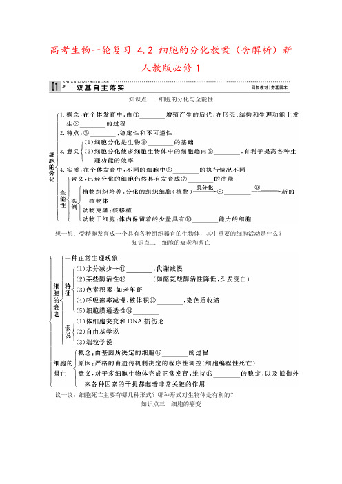 高考生物一轮复习 4.2 细胞的分化教案(含解析)新人教版必修1