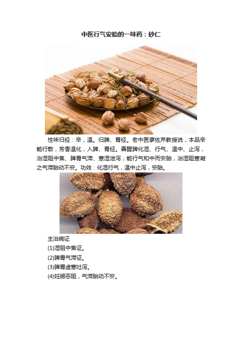 中医行气安胎的一味药：砂仁