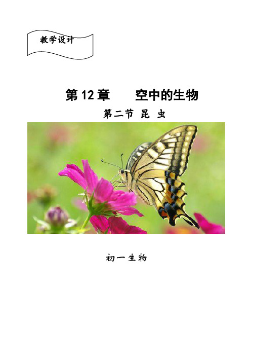 苏科版初中生物七年级下册教案-5.12.2 昆虫11