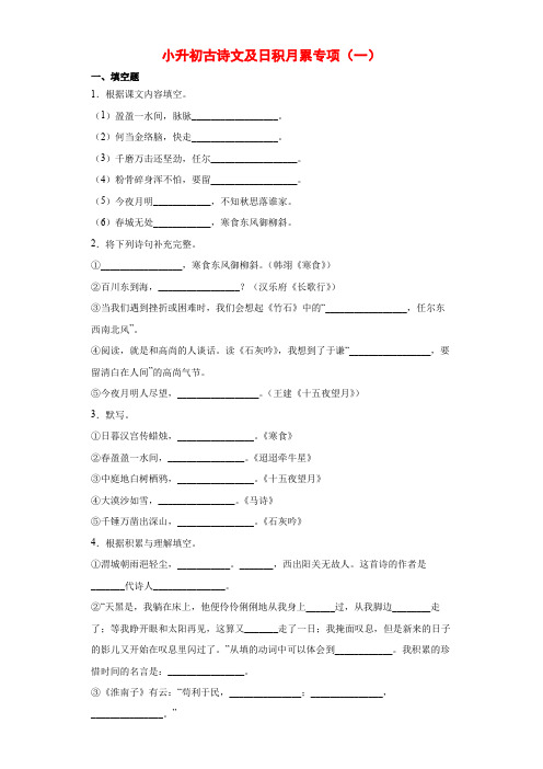 小升初古诗文及日积月累专练学六年级语文下册