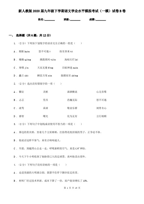 新人教版2020届九年级下学期语文学业水平模拟考试(一模)试卷B卷