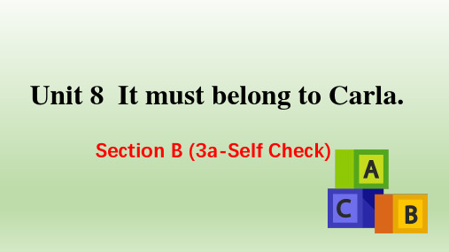 九人英上册教学课件-Unit 8 Section B (3a-Self Check)