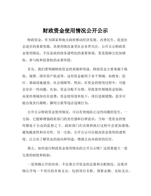 财政资金使用情况公开公示