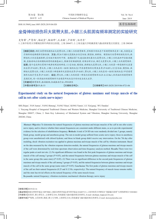 坐骨神经损伤后大鼠臀大肌、小腿三头肌固有频率测定的实验研究