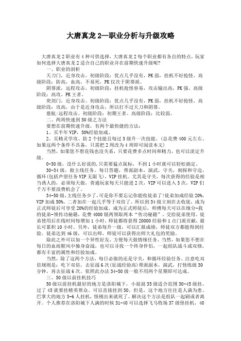 大唐真龙2—职业分析与升级攻略