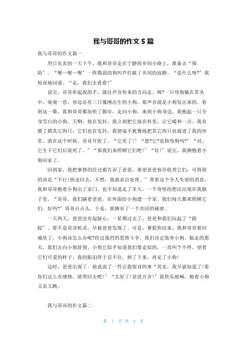 我与哥哥的作文5篇