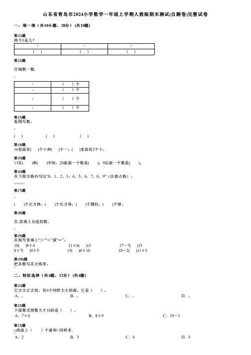 山东省青岛市2024小学数学一年级上学期人教版期末测试(自测卷)完整试卷