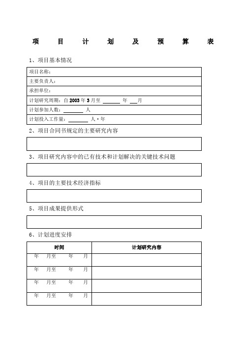 项目计划及预算表