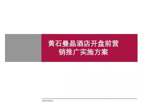 世联开盘前营销推广实施方案