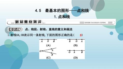 华师大版七年级上册数学作业课件：1.点和线