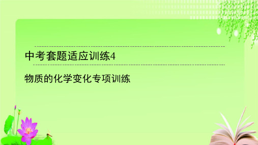 最新2020广东中考化学总复习 中考套题适应训练12套 6教育课件