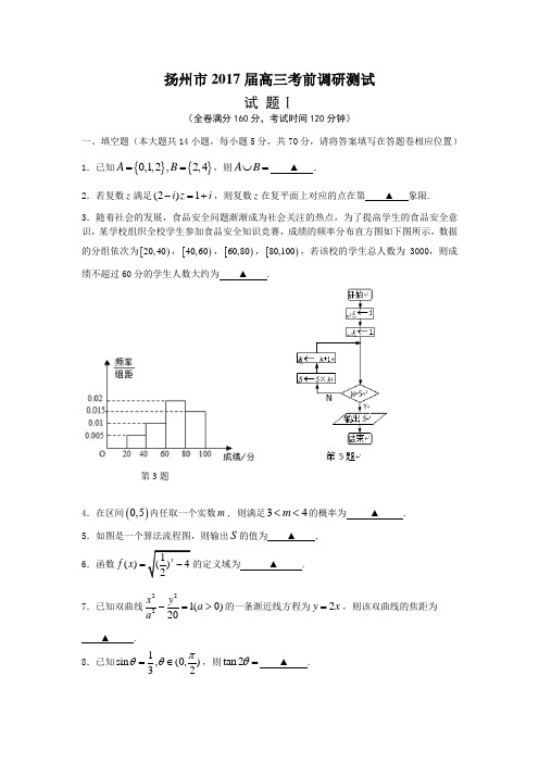 江苏省扬州市高三考前调研测试数学试题含答案【精编】.doc