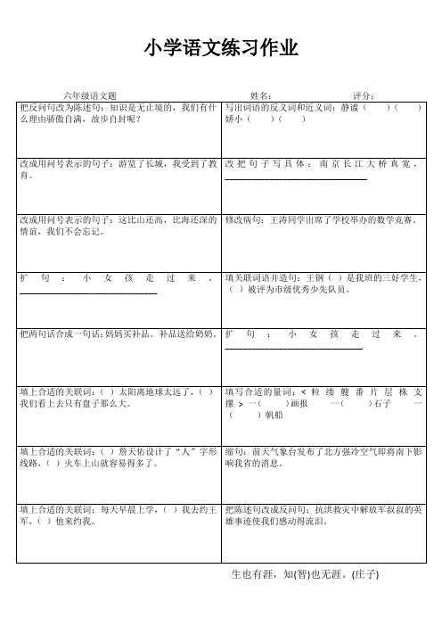 小学六年级语文拓展训练II (23)