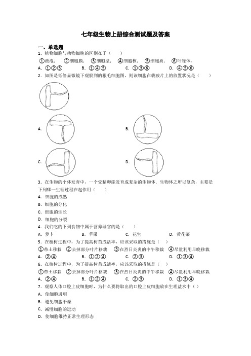 七年级生物上册综合测试题及答案