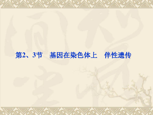 2018高考生物总复习课件(新人教版)：2.2 2.3 基因在染色体上 伴性遗传(必修2)