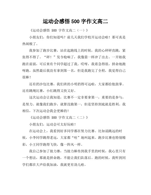 运动会感悟500字作文高二