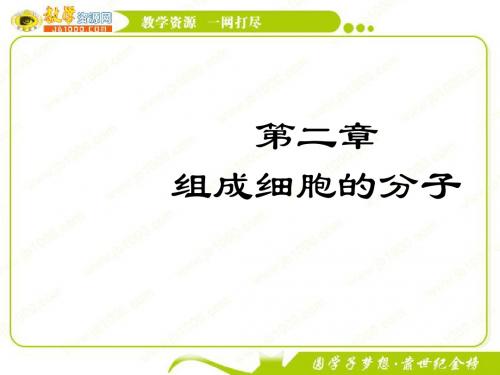 生物：《组成生物体的化学元素、蛋白质》课件(新人教版必修1)