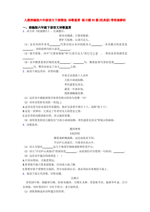 人教部编版六年级语文下册精选 诗歌鉴赏 练习题30篇(经典版)带答案解析