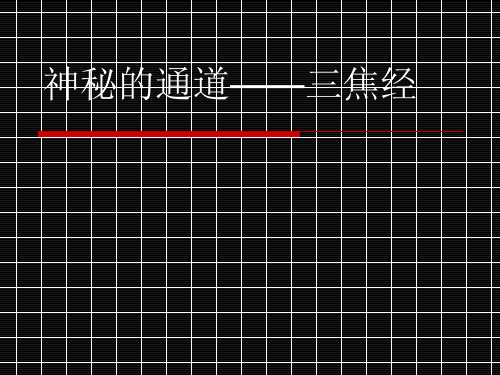 中医三焦经课件