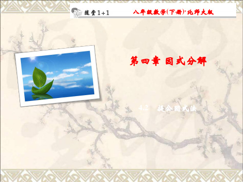 八年级数学下册随堂训练第4章因式分解4.2提公因式法课件新版北师大版