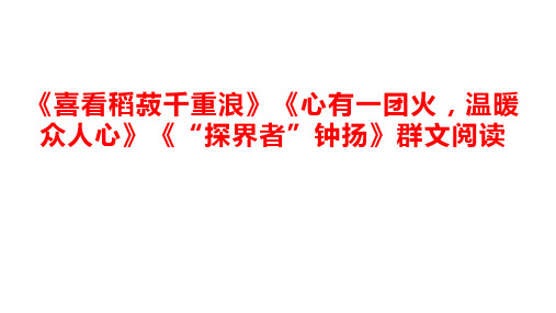 4.《喜看稻菽千重浪》《心有一团火温暖众人心》《“探界者”钟扬》课件统编版高中语文必修上册