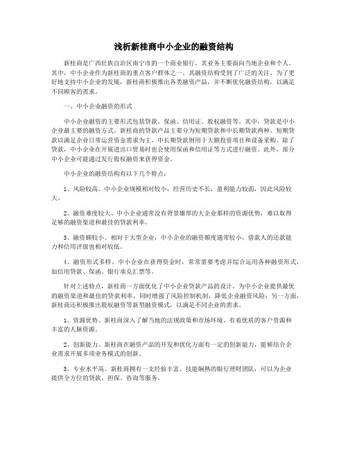 浅析新桂商中小企业的融资结构