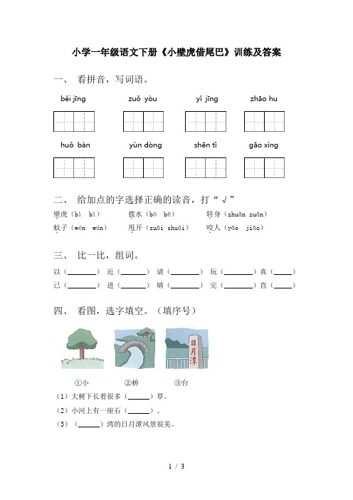 小学一年级语文下册《小壁虎借尾巴》训练及答案