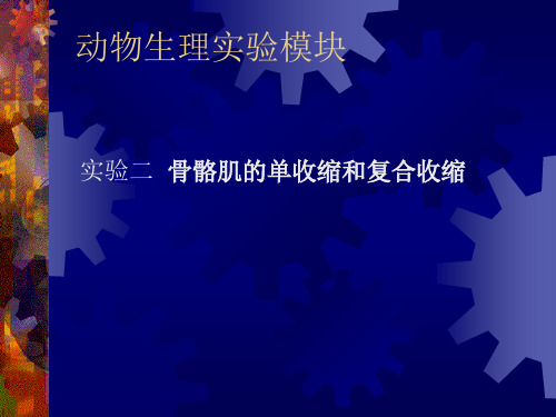 实验二 骨骼肌的单收缩和复合收缩