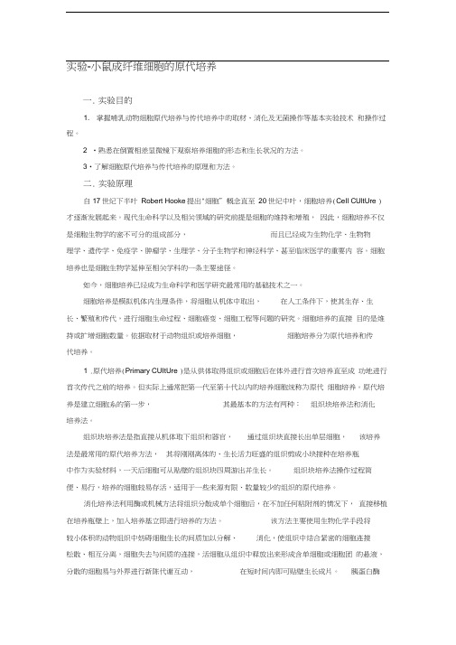 小鼠成纤维细胞原代培养.docx