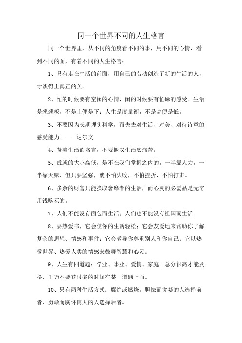 同一个世界不同的人生格言